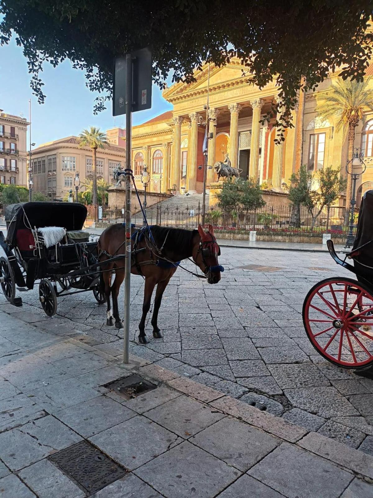 Casa Terramare Διαμέρισμα Παλέρμο Εξωτερικό φωτογραφία